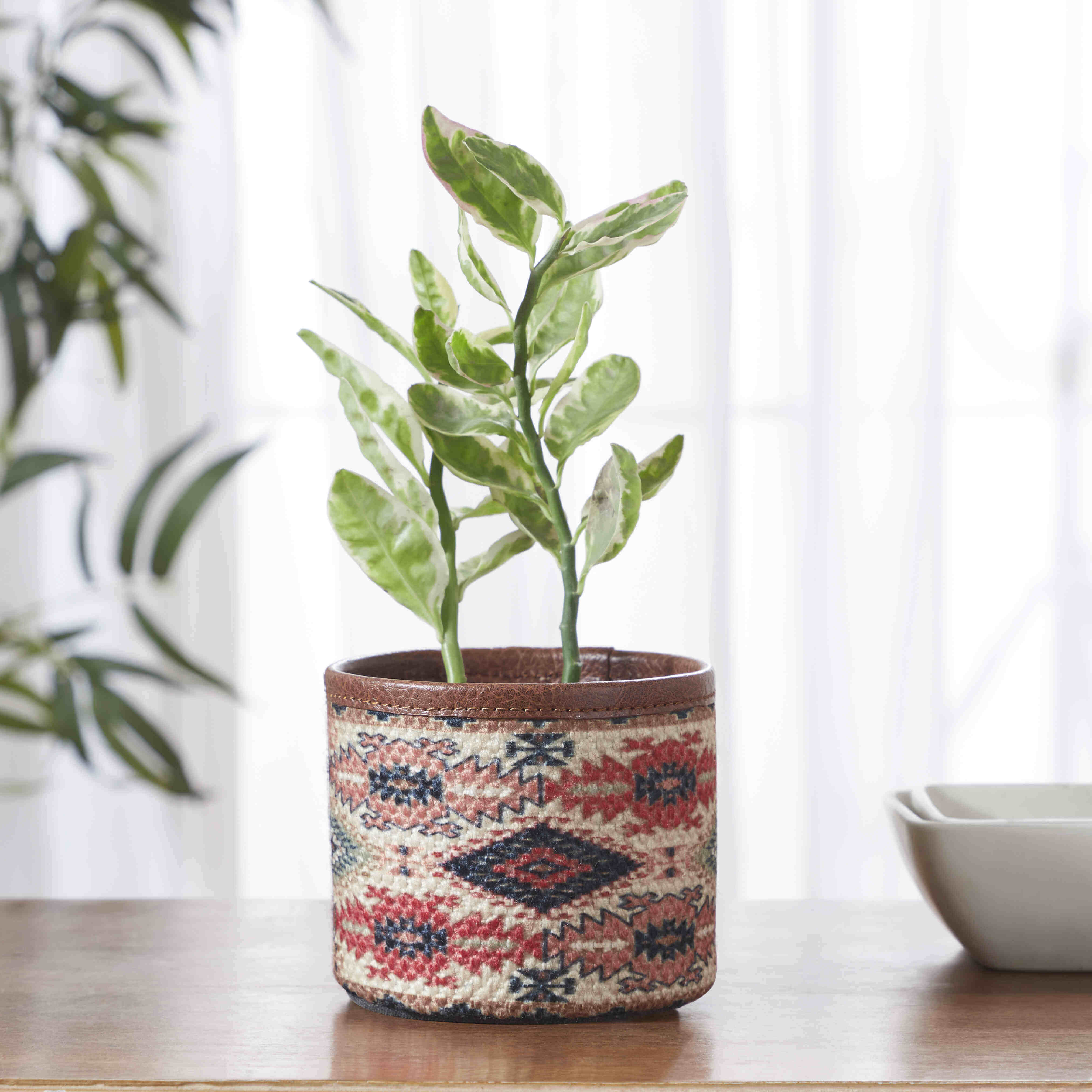 Mona B - Jules Planter Small