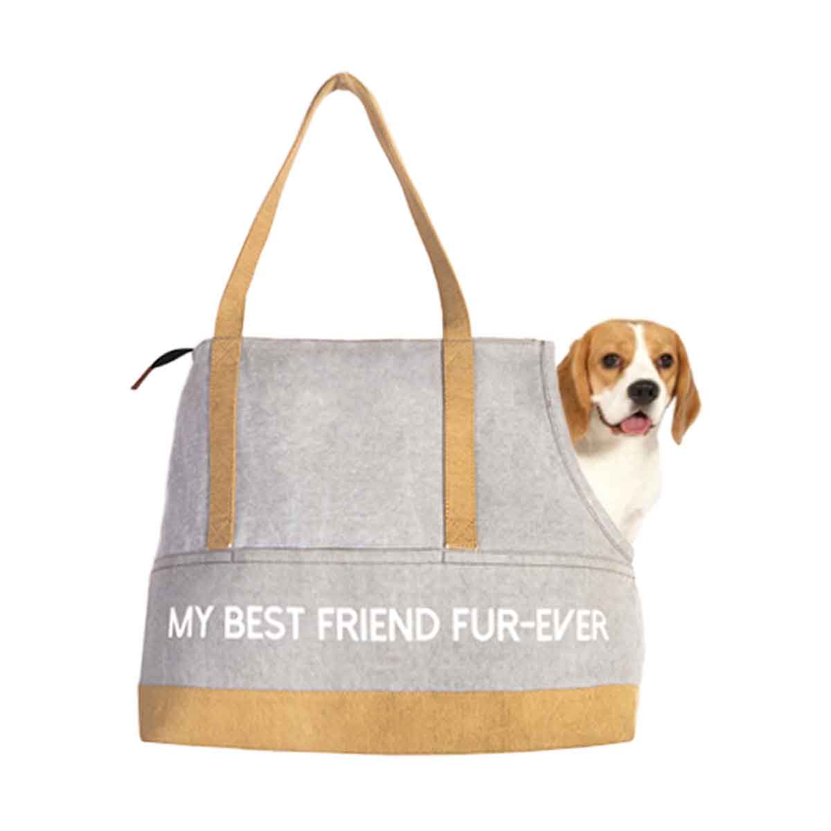 Mona B - Canvas Recycled Pet Carrier