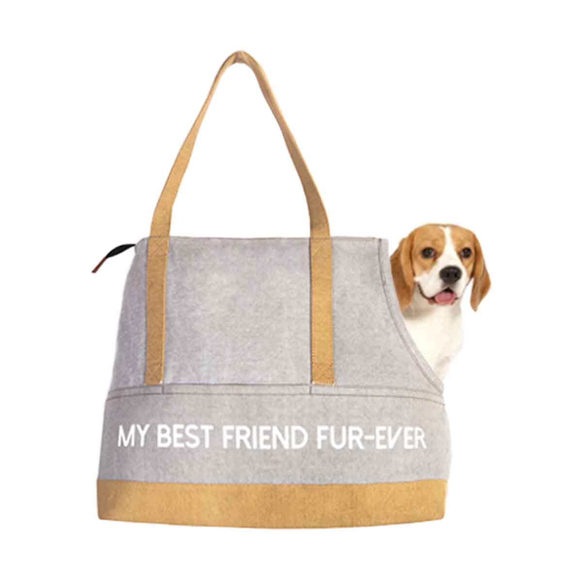 Mona B Canvas Recycled Pet Carrier